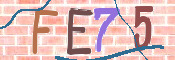 キャプチャ画像