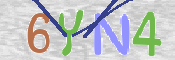 キャプチャ画像
