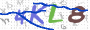 キャプチャ画像