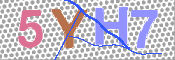 キャプチャ画像